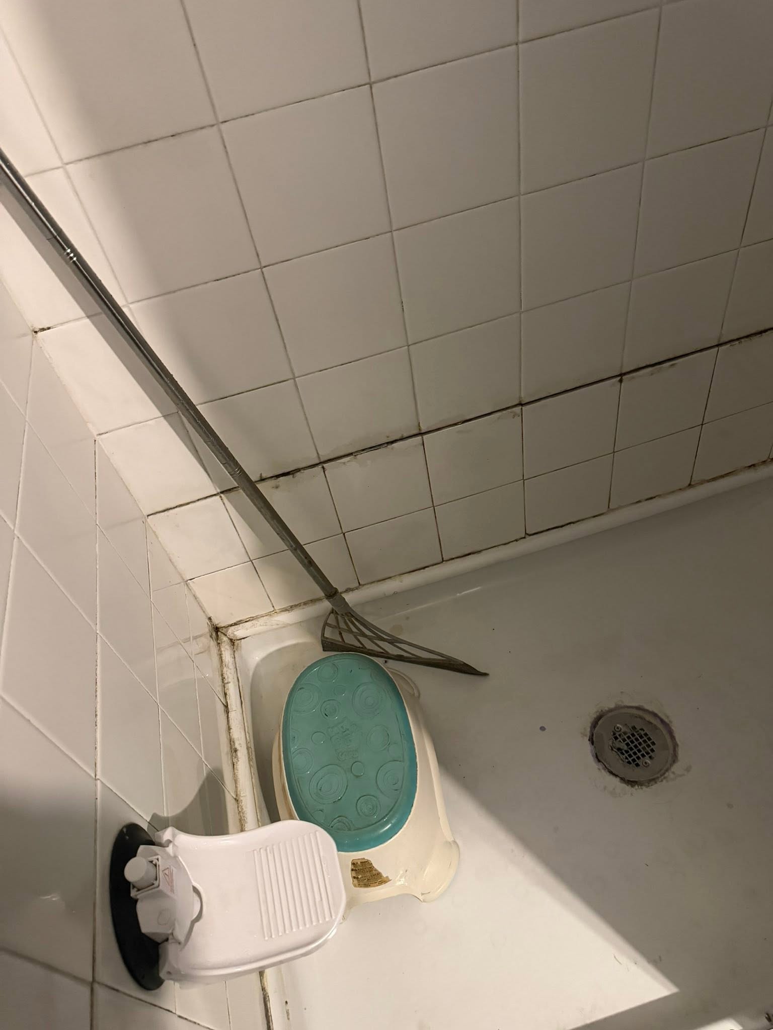 Shower tile after cleaning, mold removed and grout restored