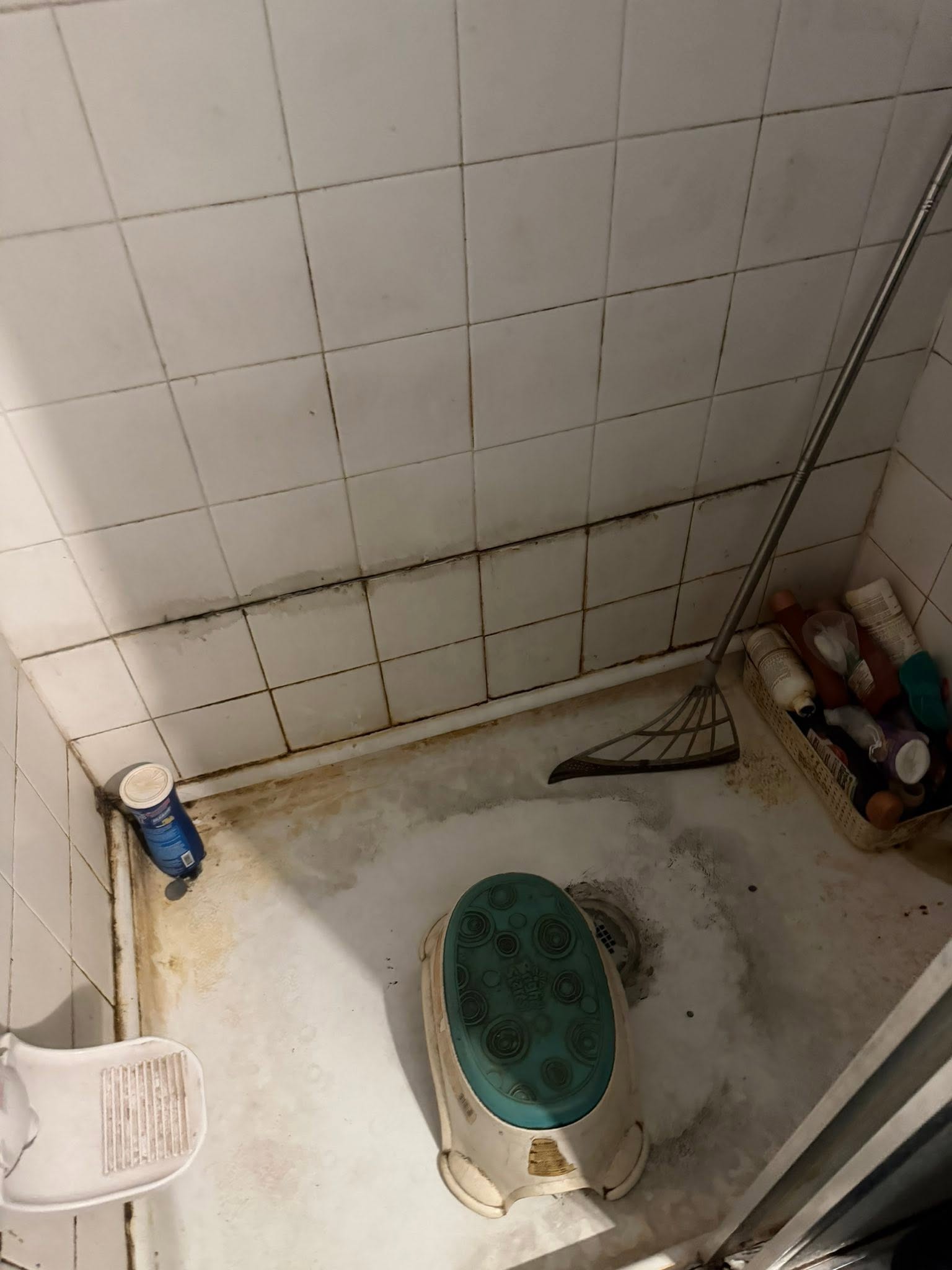 Shower tile before cleaning, covered in mold and grime
